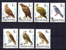 Animaux Oiseaux Rapaces WWF