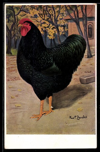 Carte postale artiste - carte, d'artiste