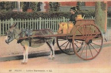 CP VICHY DAIRY BOURBONNAISE - COUPLING ANE - 80711