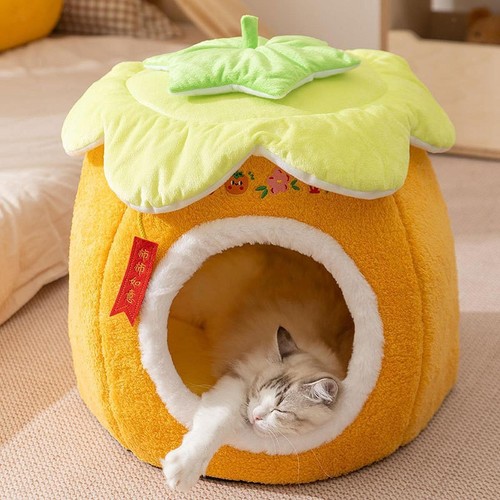Maison pour chat - , en