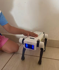 Robot Intelligent chien/   RC