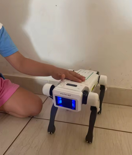 Robot intelligent chien rc - robot,