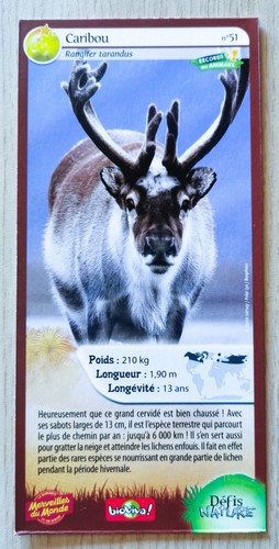 Carte merveilles monde - monde,