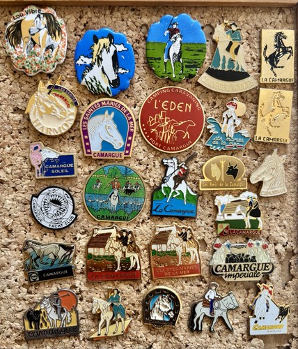 Rare lot pins cheval - lot, 26