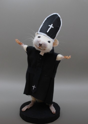 Taxidermie souris prêtre - ,