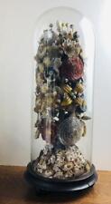 Antique Victorian Huge 26" Glass Cloche Dome Seashell Flowers Local Pickup GR MI