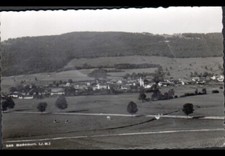 BOECOURT (SUISSE Jura) BOVINS au PATURAGE , VILLAS & EGLISE en 1957