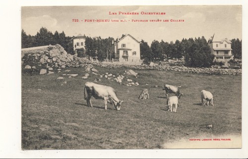 Font romeu paturage - 66,