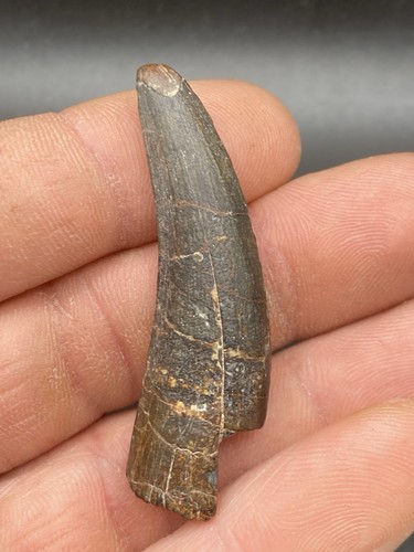 2 cm nice - cm,