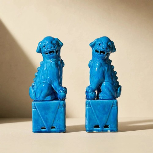 Paire chiens fô bleu - chiens,