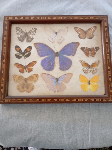 Art déco tableau cadre - ,, ,