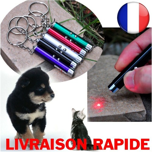 Laser drôle chat - chat, chien