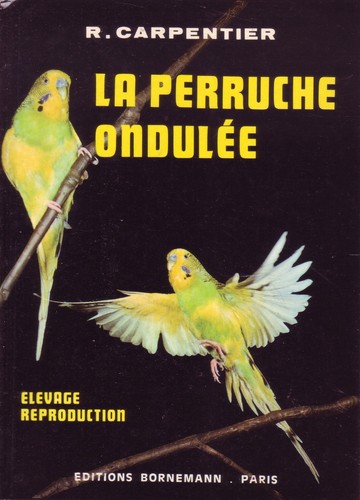 Oiseaux perruche ondulée - !,