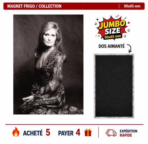 Magnet frigo dalida ver 21 - frigo,