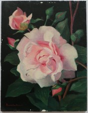 Fleurs - A.P. Courselles