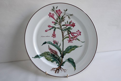 Grand plat rond porcelaine - rond,
