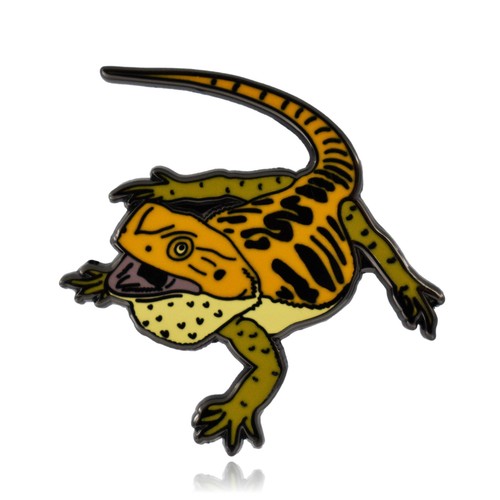 Bearded dragon pogona lizard - bearded,