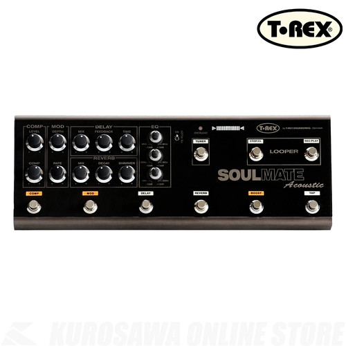 Rex soulmate acoustic - t-rex,