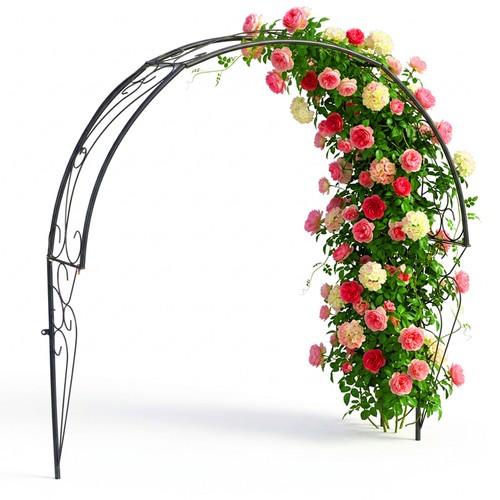 Arche pour rosiers - , demi-arche