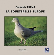 La Tourterelle turque - Sueur