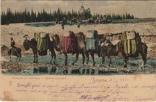 CPA AK Constantinople Caravane de chameaux TURKEY (1158656)
