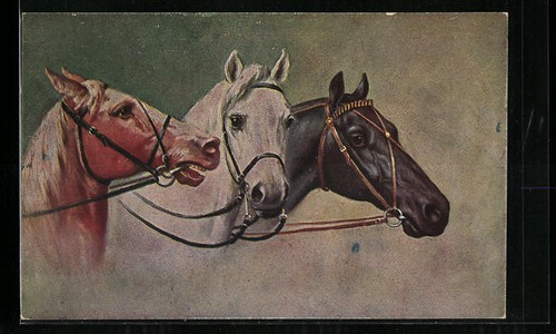 Tête cheval rouge brun - de,