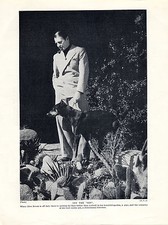 DOBERMAN PINSCHER AND 30'S FILM STAR OLD ORIGINAL DOG PRINT PAGE FROM 1934