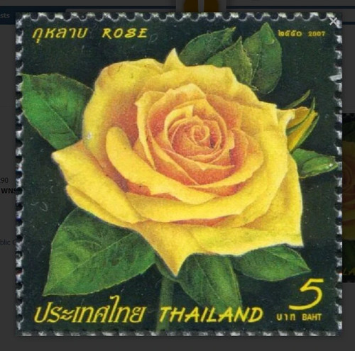 Thailand 2007 roses rose - 2007,