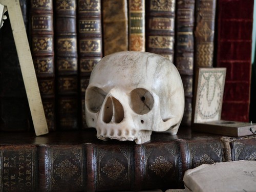 Vanité memento mori - -,