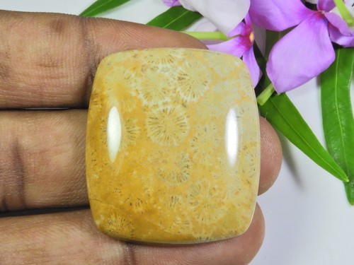 60cts cabochon rectangulaire - 60cts.,