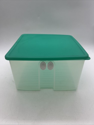 Large tupperware fridgesmart - large,