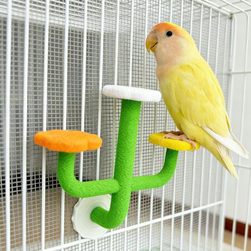 Perchoir pour oiseaux - ,, jouet