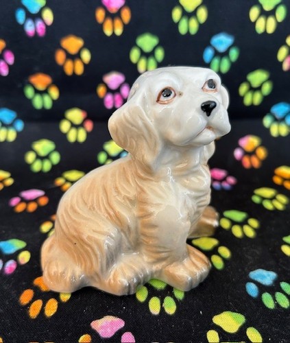 Figuri chien beige blanc - figuri, "chien