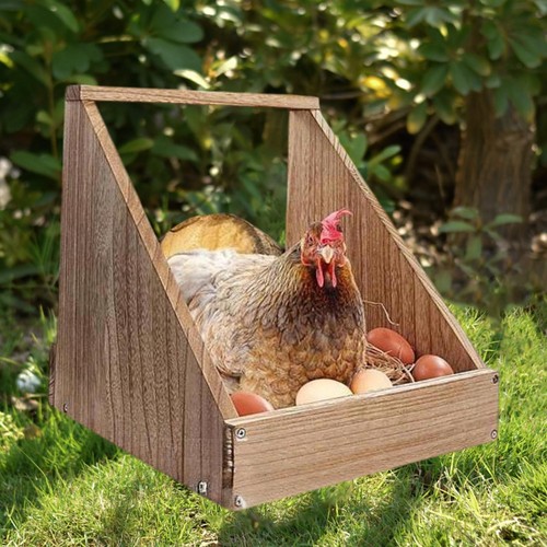 Nichoir poules un - poules, à