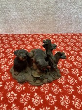 ROTTWEILER PUPPIES PLAYING WITH TURTLE