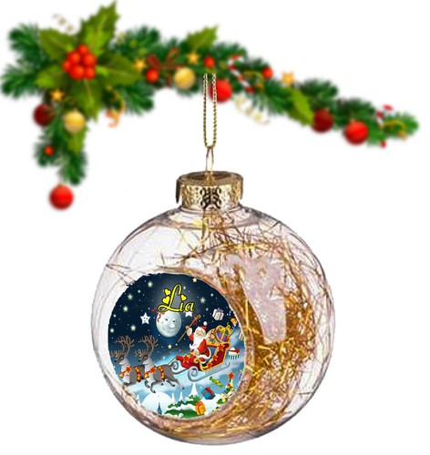 Boule noël cm - boule,