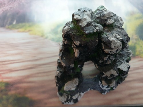 Décor aquarium pour - , eau