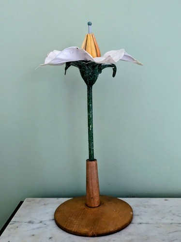 Modèle botanique une fleur - d'une,