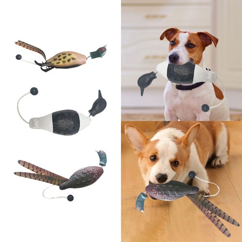 Leurre chasse jouet pour - chasse,