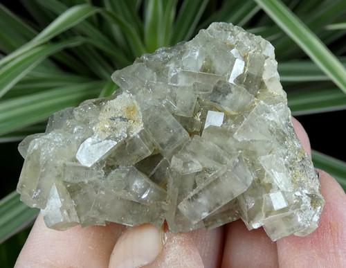 Cristaux baryte marsanges - baryte,