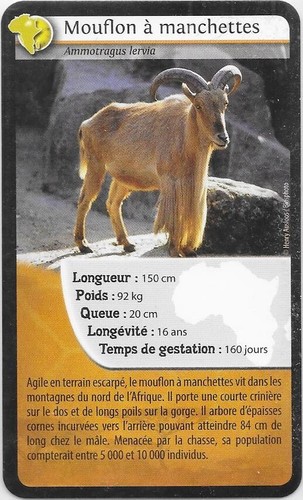 Carte bioviva mouflon à - bioviva!,
