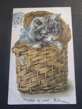 Cat fancy postcard in a basket.
