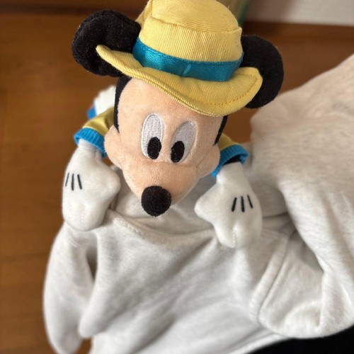 Disney character plush - disney,