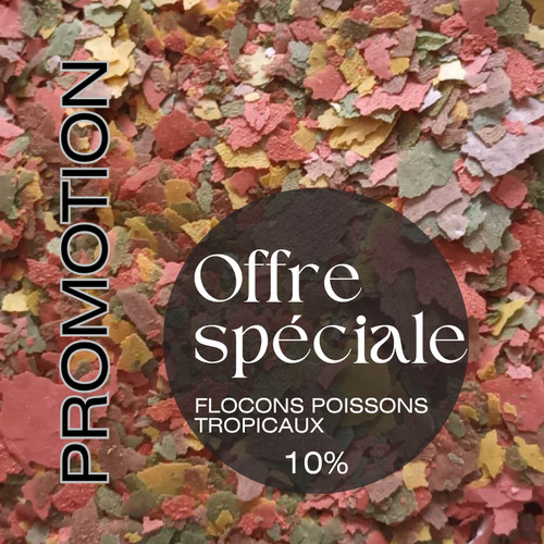 Promo flocons poissons - promo,