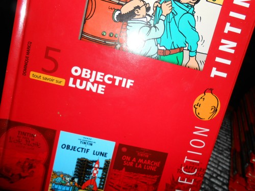 Tout savoir sur tintin - bd,