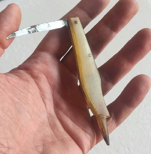 Ancien canif canivet - ou, taille
