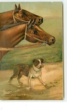 Embossed Card - Bulldog and Two Horses - 11395