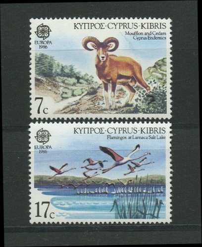 Flamingo salt lake mouflon - flamingo,