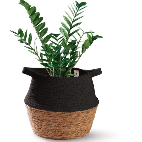 Praknu panier osier jonc - panier, de