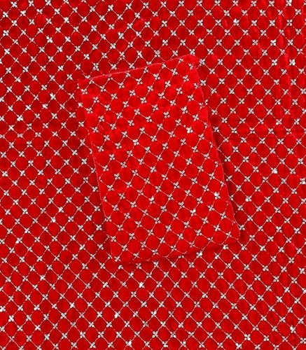 Tissu velours indien - , brodé